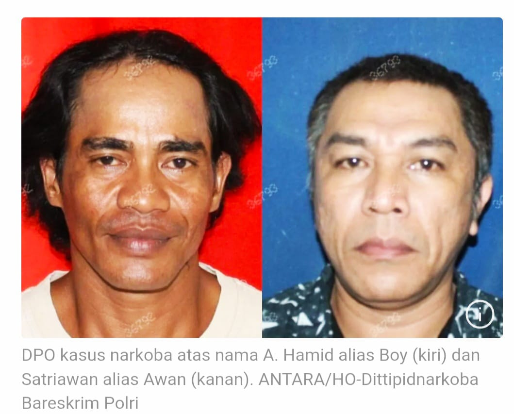 Polri Buru Bandar “Boy” dan Kurir Jaringan Koko Erwin: Perang Tanpa Henti Lawan Sindikat Narkoba