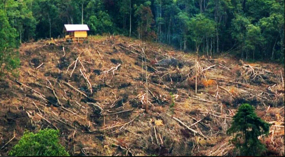 Usai Banjir Mematikan di Sumatera, Kebun Sawit & Pabrik di Tapteng Resmi Disegel — Polisi Temukan Indikasi Pelanggaran Serius.