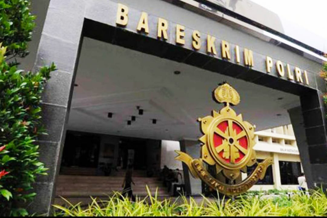 Aktivis Greenpeace Laporkan Teror Bangkai Ayam Tanpa Kepala ke Bareskrim Polri
