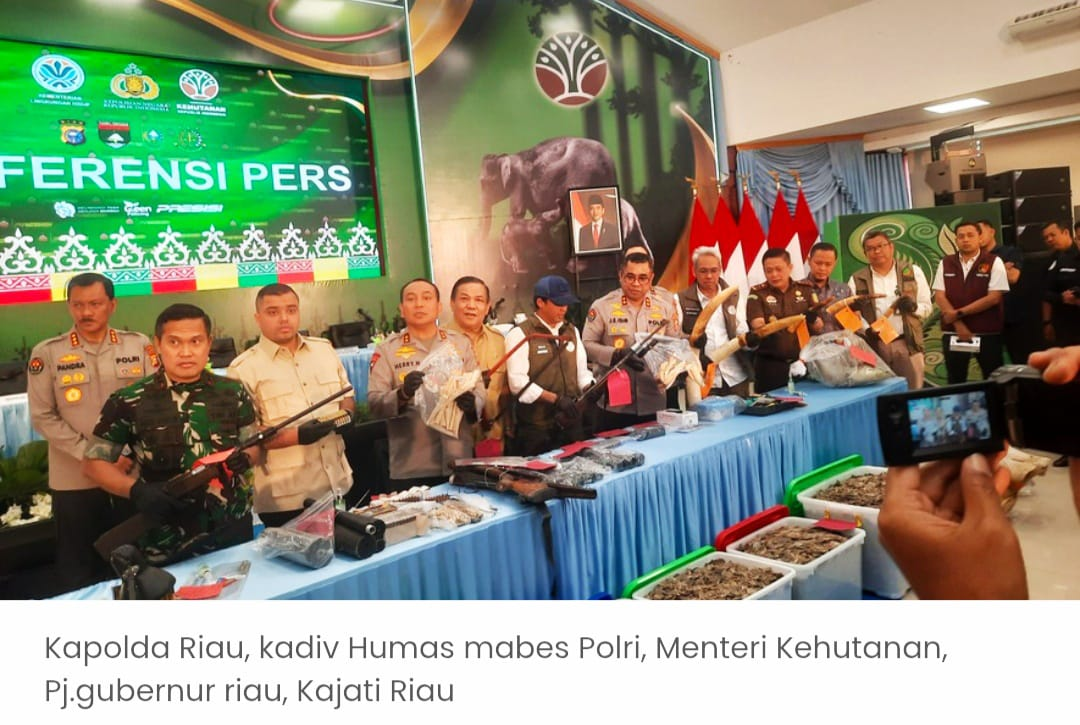 Kapolda Riau: Perburuan Gajah Sumatera Dilakukan Secara Sistematis