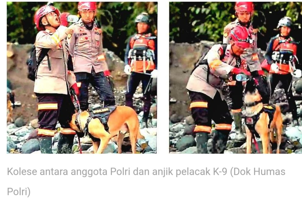 “Kisah K-9 Polri di Tengah Bencana: Saat Kesetiaan Lebih Kuat dari Derasnya Sungai”