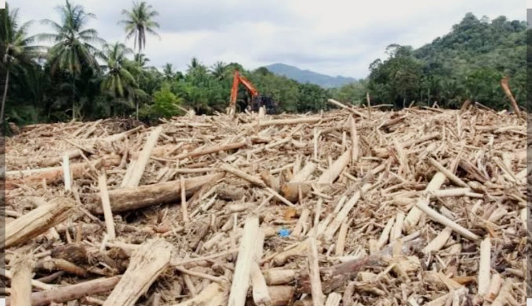 Bareskrim Turun Gunung! Tim Khusus Dikerahkan Usut Gelondongan Kayu Misterius di Banjir Sumbar — Ada Jejak Illegal Logging?