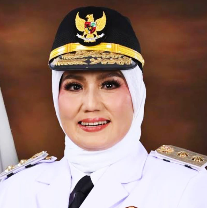 Sorotan Publik ke Wagub Babel, Ini Penjelasan Bareskrim Soal Penahanan