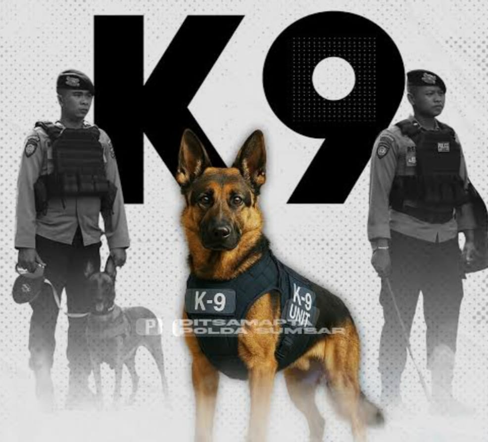 Polri Terjunkan Anjing Pelacak K-9 untuk Cari Korban Banjir-Longsor di Sumatera.