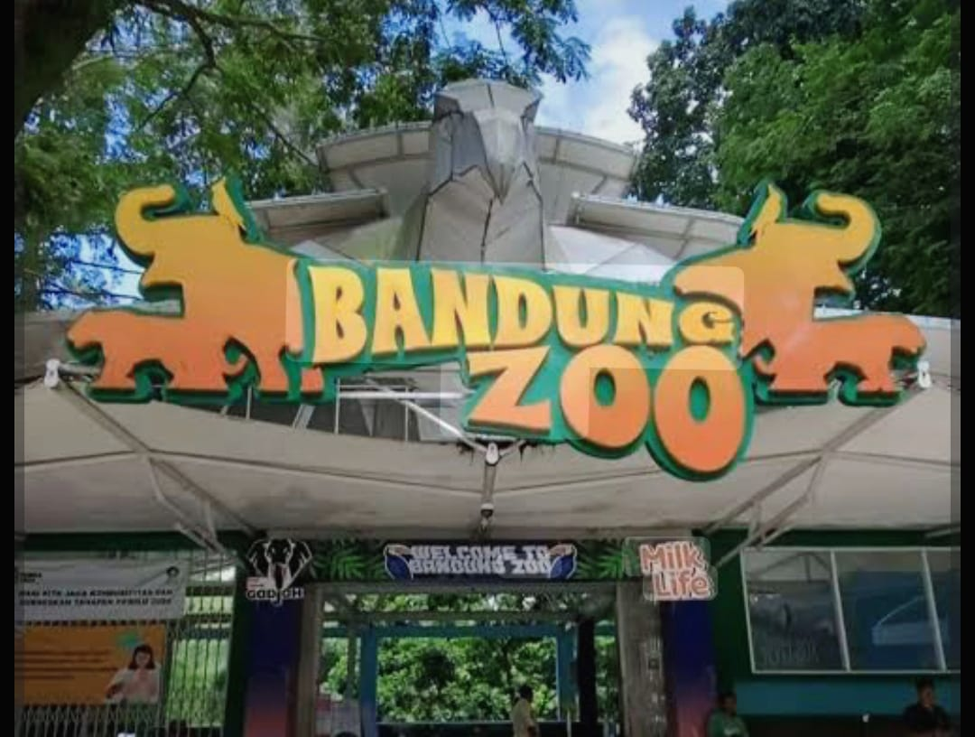 GEGER BANDUNG ZOO! Polri Tetapkan Sri Devi Tersangka Akta Palsu — Dugaan Manipulasi Dokumen Dibongkar Satu per Satu!