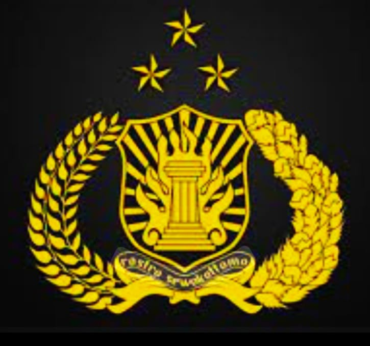 Makin Diakui Dunia! Dari Tangkap Buronan Interpol hingga Kirim Pasukan Perdamaian PBB, Polri Diperhitungkan di Kancah Internasional.